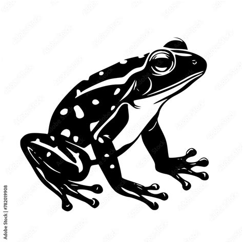 Frog Svg Frog Clipart Frog Files For Cricut Frog Cut Files For