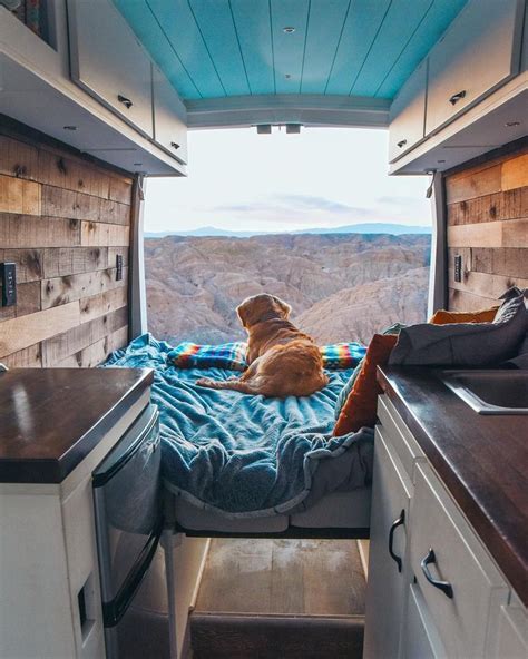 How To Live With A Dog In A Diy Campervan Conversion Packing