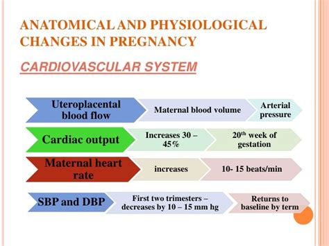 Resuscitation In Pregnancy Drkrushna Patel