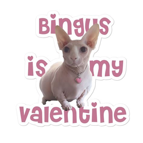 Custom Bingus Sticker Bingus Cat Bingus My Beloved Etsy