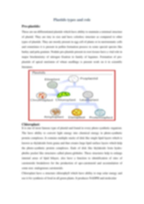 Solution Plastid Transition Along With Its Types And Role Studypool