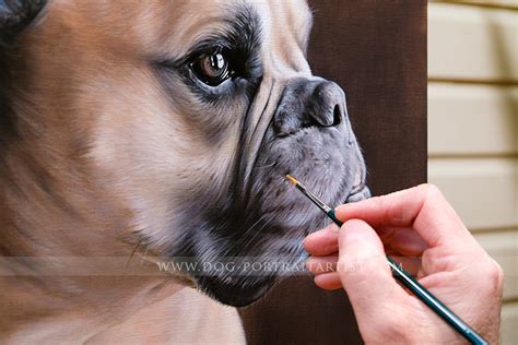 Dog Portrait Painting - Dog Portraits