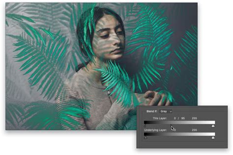 Photoshop For Lightroom Users The Blend If Sliders By Scott Kelby