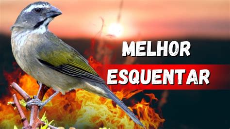 LEVANTE SEU TRINCA FERRO MELHOR ESQUENTAR TRINCA FERRO FRIO