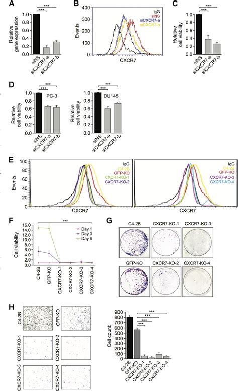 Figure From Targeting The Mif Cxcr Akt Signaling Pathway In