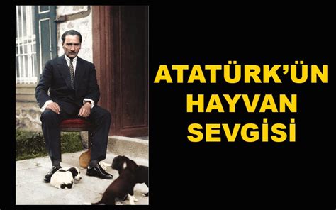 Atat Rk N Hayvan Sevgisi Kedici Kedi K Lt R Dergisi