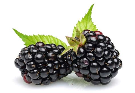 Blackberries - Ask the Food Geek