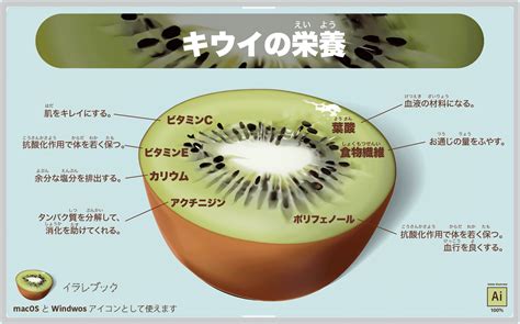 キウイ イラスト キーウィとの関係や類似点相違点からキウイの栄養と選び方 Food000048