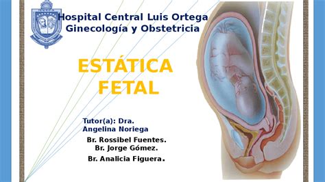 Ppt Estatica Fetal Definitiva 1