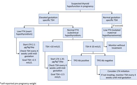 Management Of Hypothyroidism And Hypothyroxinemia During Pregnancy