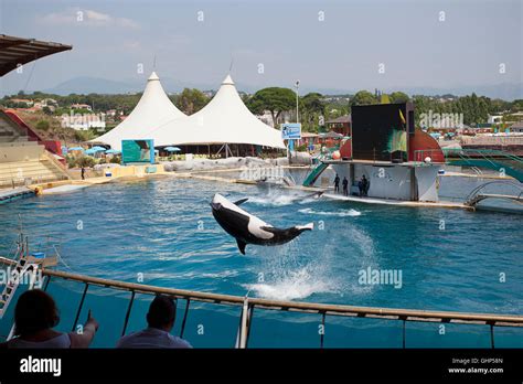 Marineland, in Antibes, France Stock Photo - Alamy