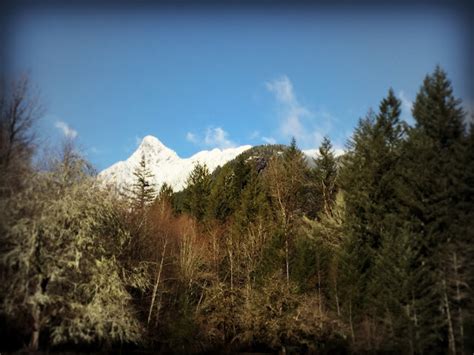 Marblemount Homestead Merry Making Snow And A Big Ass Carrot