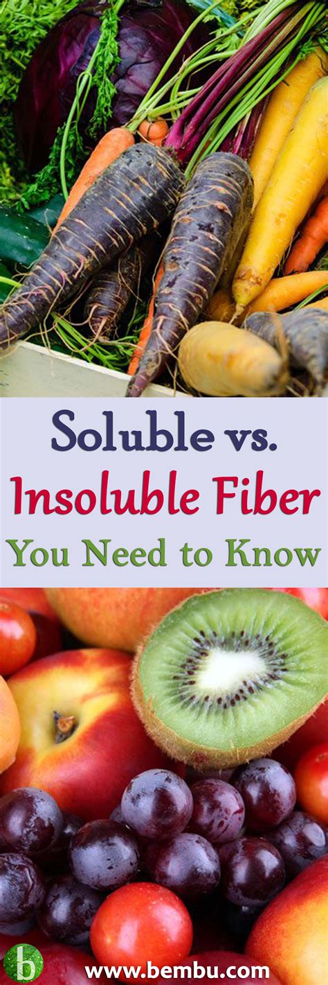 Soluble Vs Insoluble Fiber What You Need To Know Health Food Shake Recipes Healthy Cancer