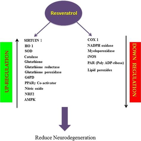 Isomers Of Resveratrol Chemical Structures Of Trans And Cis