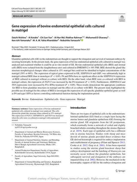 Gene Expression Of Bovine Endometrial Epithelial Cells Cultured In