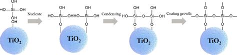 Scheme Of Silica Coating Process Download Scientific Diagram