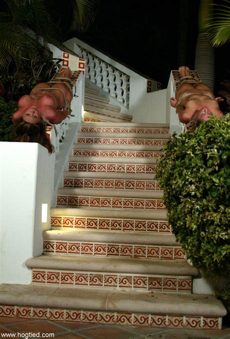 Hogtied Featuring Christina Carter Dana DeArmond Dee Williams Nude