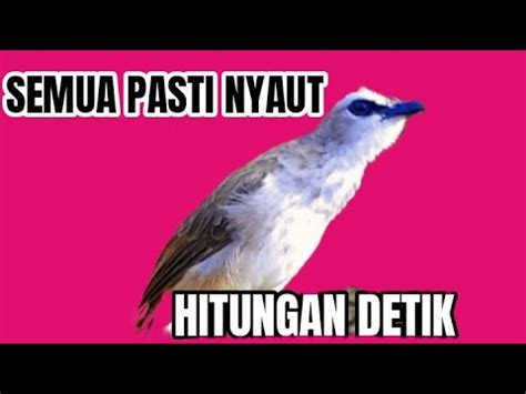 Pancingan Semua Pasti Ikut Nyaut Dengan Hitungan Detik Youtube