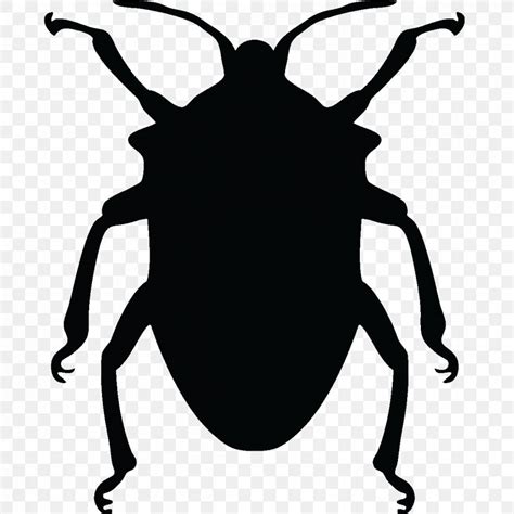 Beetle Silhouette Png X Px Beetle Artwork Black And White