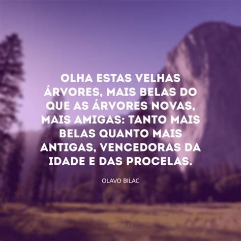 Frases De Poemas Sobre A Natureza Representando Sua For A E Beleza