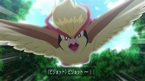 デュミ On Twitter ここでサトシのピジョットが出てくる～～～～～～～！！！！！！！！！ Anipoke アニポケ