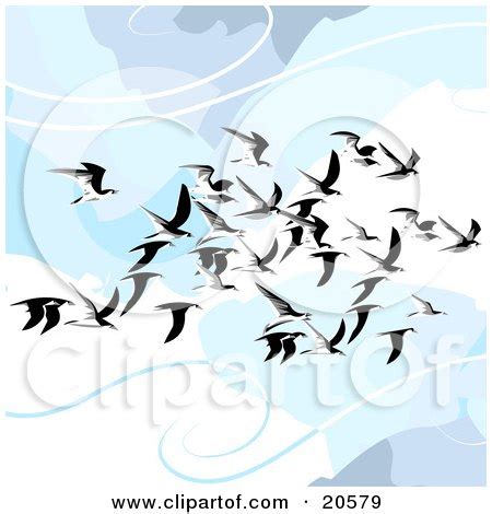 Flock Of Flying Seagulls In The Clouds Gliding On The Breeze Posters