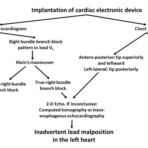 Suggested Diagnostic Algorithm A Right Bundle Branch Block Morphology