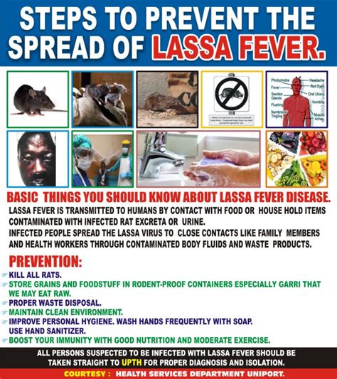 How To Prevent Lassa Fever In Picture Health Nigeria