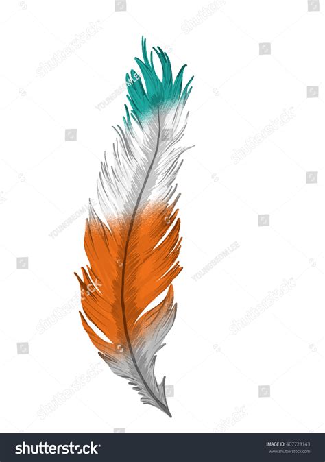 Indian Feather Stock Vector Royalty Free 407723143 Shutterstock