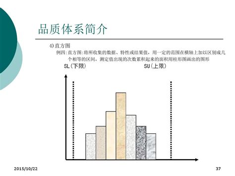 品质体系简介word文档在线阅读与下载无忧文档