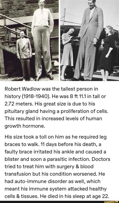 Robert Wadlow Was The Tallest Person In History 1918 1940 He Was 8