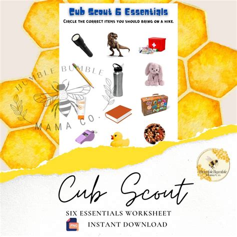 Cub Scout 6 Essentials Seek Find Etsy