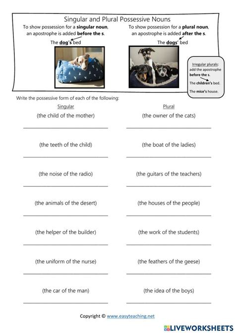 Singular And Plural Possessives Worksheet Plurals English As A