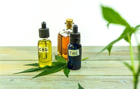 Protect Your Health With Cbd Immune Booster Tincture