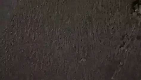 Adam Ramzi Fucks Tayte Hanson Free Gay Sex HD Porn B XHamster