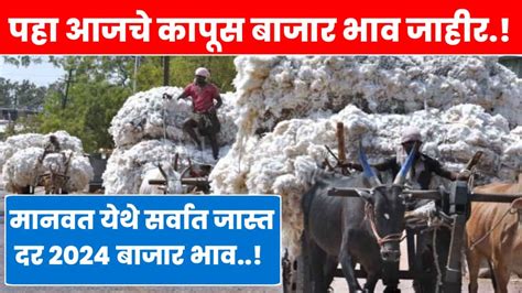 Today Cotton Rate पहा राज्यातील आजचे कापुस बाजार भाव मनवत येथे सर्वात जास्त दर Krushi King Live