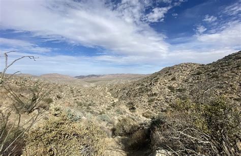 10 Best Off Road Driving Trails In Anza Borrego Desert State Park Alltrails