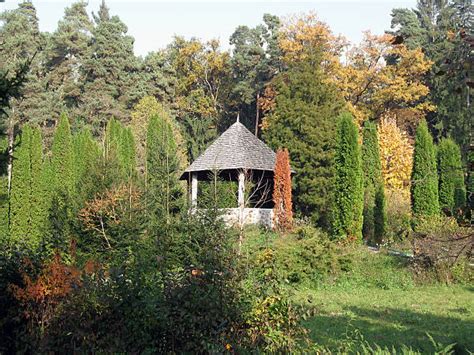 100+ Log Cabin Shingle Roof Chimney Stock Photos, Pictures & Royalty ...