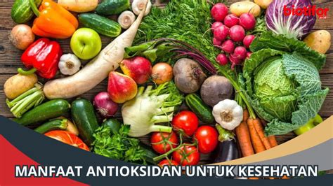 Manfaat Antioksidan Untuk Kesehatan Simak Biotifor