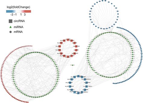 The Cerna Network Was Constructed Based On Circrna Mirna Mrna