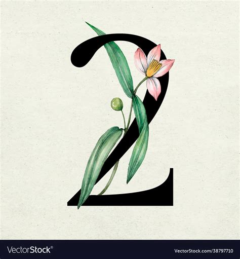 Number 2 font botanical vintage typography Vector Image