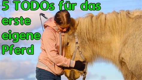 Nicht Vergessen 5 TODOs Bevor Dein 1 Pferd Kommt YouTube