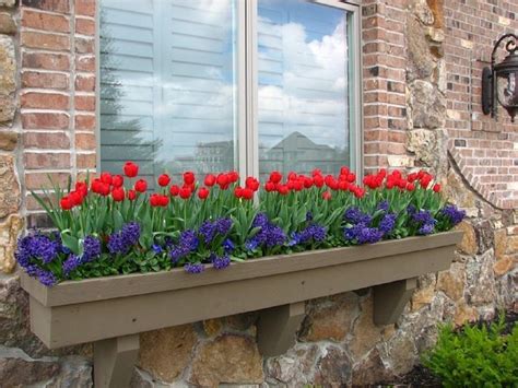 15 Gorgeous Flowering Window Box Ideas For Spring Window Box Flowers