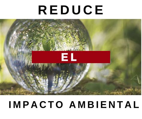 Acciones Para Reducir El Impacto Ambiental En La Organizaci N