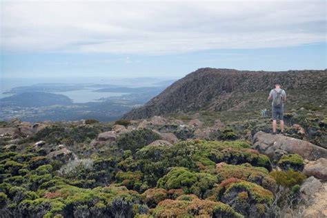 Hobart Kunanyi Mt Wellington Explorer Bus Pass GetYourGuide