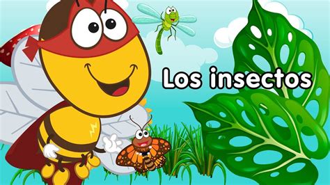 Los Insectos Canciones Infantiles Doremila YouTube