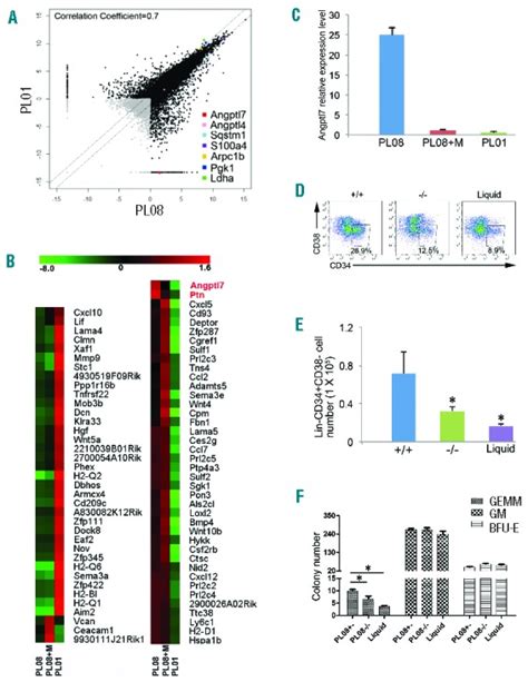 Angptl Regulates The Expansion And Repopulation Of Human Hematopoietic