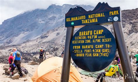 Everest Base Camp Vs Kilimanjaro Which Is Difficult