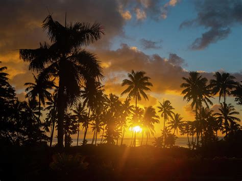 Fiji Taveuni Island Photograph By Merrill Images Fine Art America