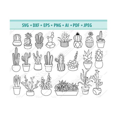 Cactus Svg Bundle Succulents Svg Cactus Clipart Tropic Pl Inspire